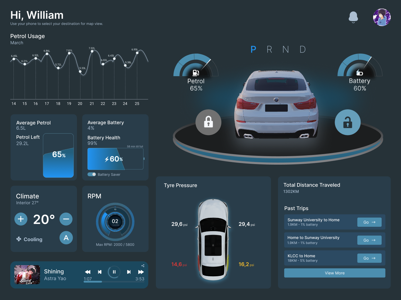 SVPS project preview